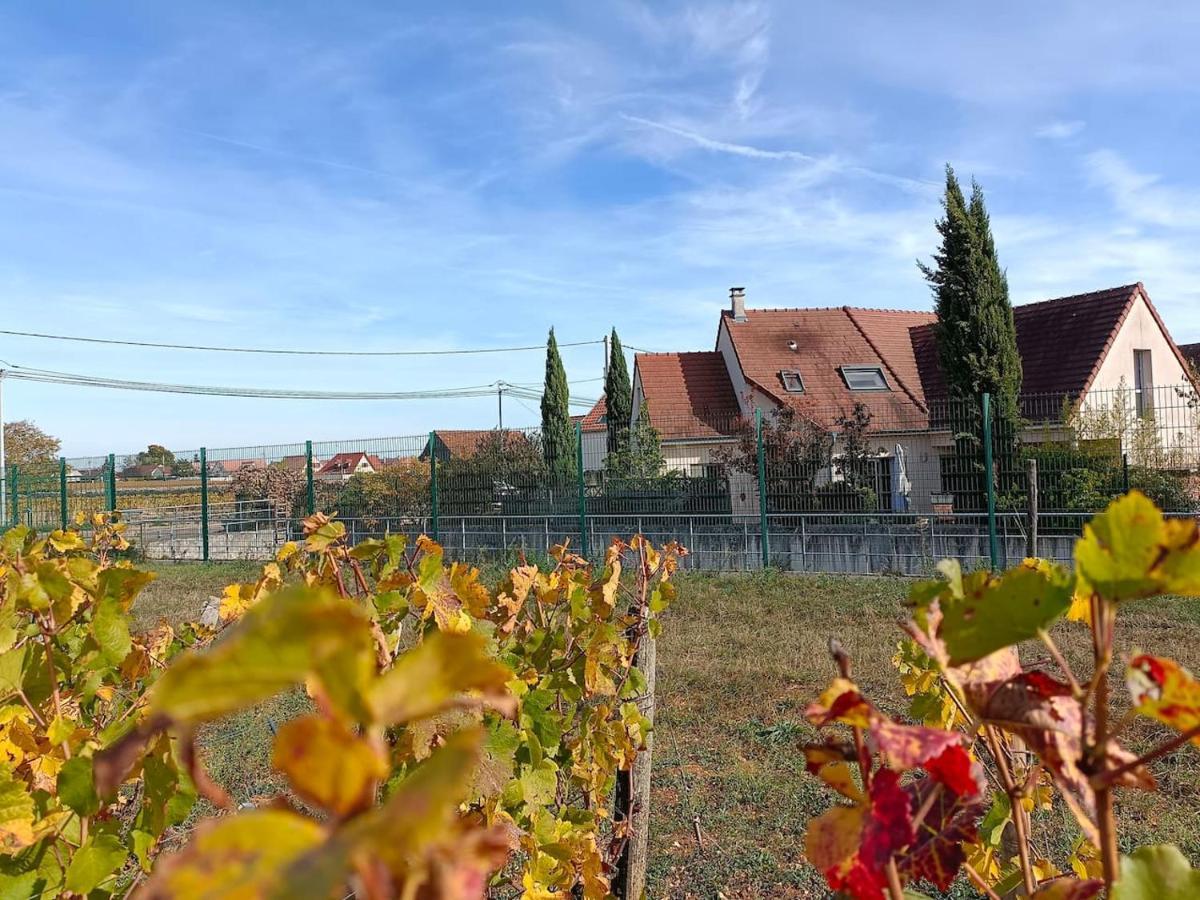 Villa Des Climats Bourgogne 마르사네이라꼬떼 외부 사진
